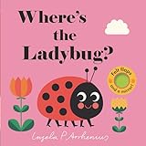 Where's the Ladybug?