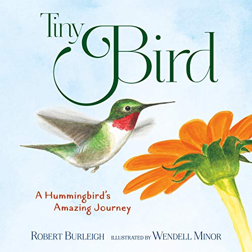 Tiny Bird: A Hummingbird's Amazing Journey