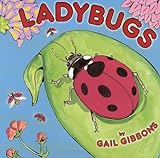 Ladybugs