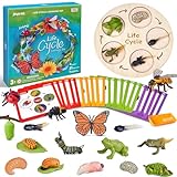 JoyCat Montessori Life Cycle Learning Education Toys, Insect Caterpillar to Butterfly kit, Ladybug, Bee, Tadpole to Frog Kit Life Cycle Toys for Kids, Preschool Learning Activities for Age 3 4 5 6 7 8