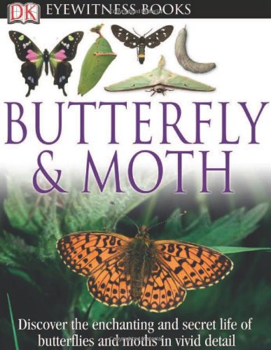 DK Eyewitness Books: Butterfly and Moth