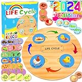 HeyKiddo Life Cycle Toys for Kids, Learning & Educational Toys, Montessori Toys for Toddler Preschool Science Learning Activities Toys for Age 3 4 5 6 7 8+