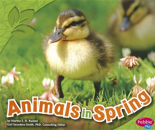 Animals in Spring (All about Spring)