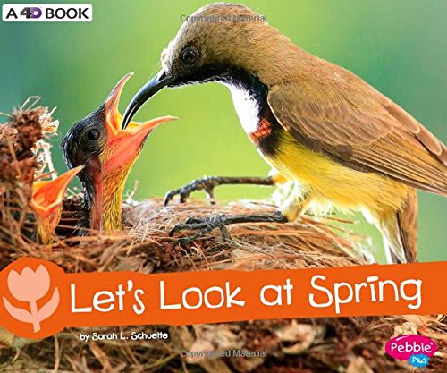 Let's Look at Spring: A 4D Book (Investigate the Seasons)