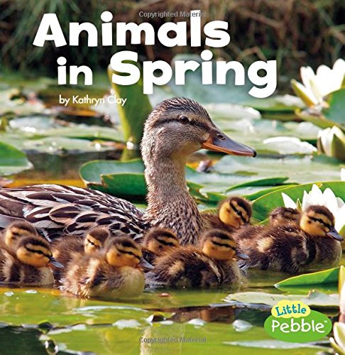 Animals in Spring (Celebrate Spring)