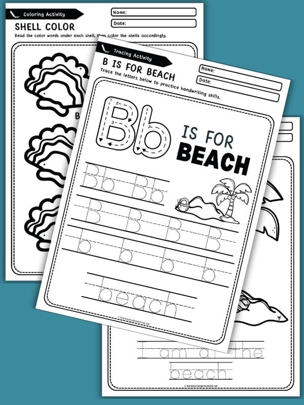 Beach Worksheets for Preschool