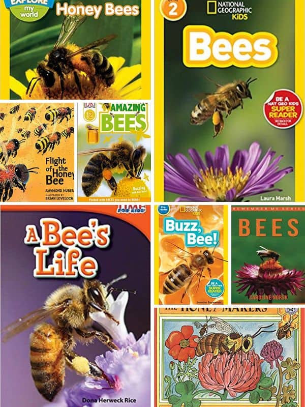 Nonfiction Books About Bees