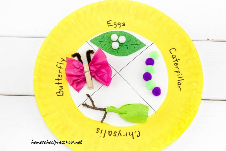 It's spring! It's a great time to learn about the life cycle of a butterfly. This spring craft for kids will help kids visualize the butterfly life cycle.