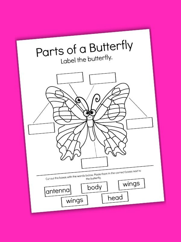 Parts of a Butterfly Worksheet