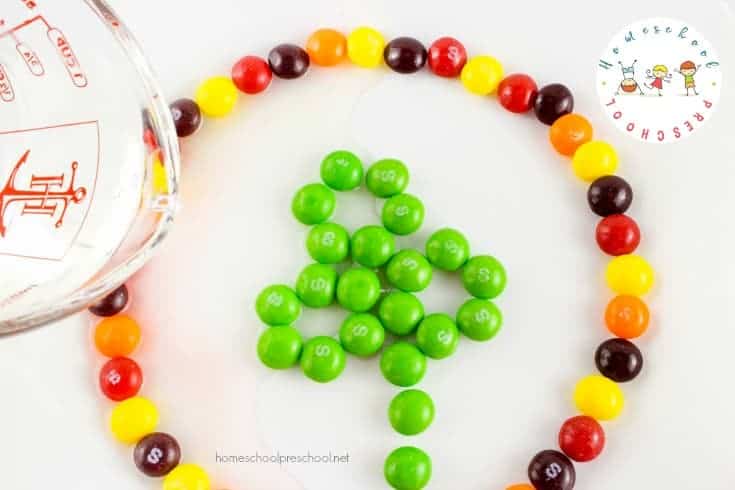 I love being able to incorporate the holidays into our homeschool lessons. This easy candy science project is perfect for St. Patrick’s Day!