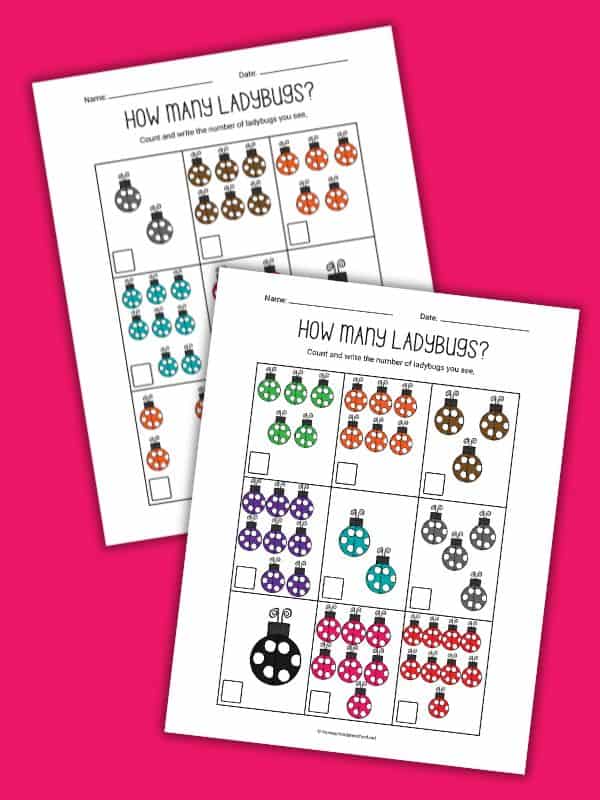 Counting Ladybugs Worksheet