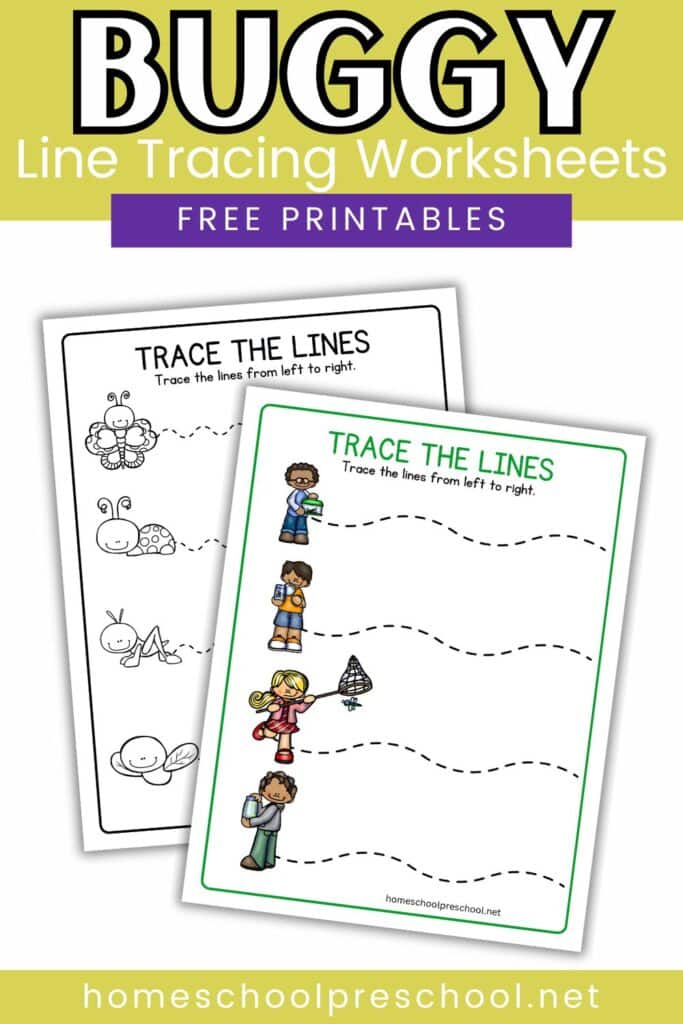 bug themed line tracing worksheets