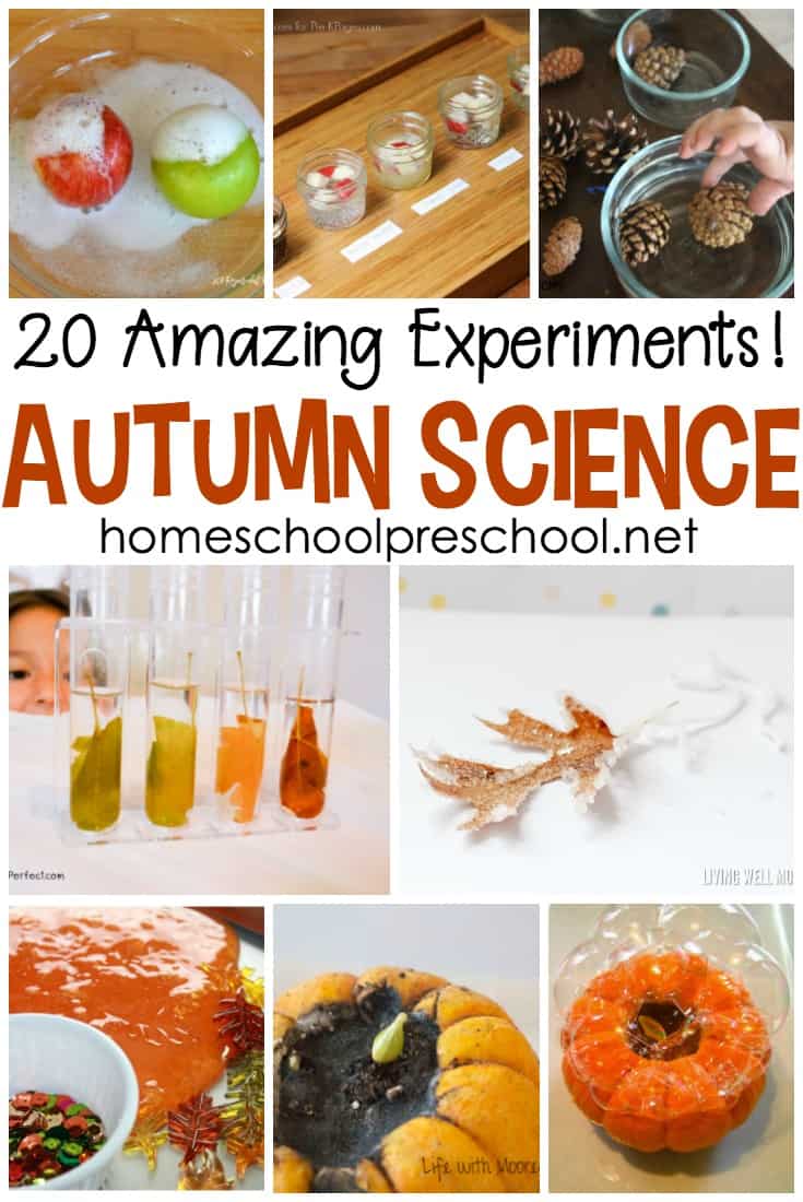 Pumpkins, apples, leaves, and more! Come discover 20 engaging fall fun science experiments for preschoolers!