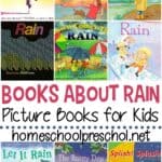 Spring showers bring new life to the world around us. Pique your preschooler's interest with this collection of books about rain.