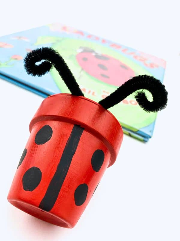 Ladybug Craft for Preschoolers