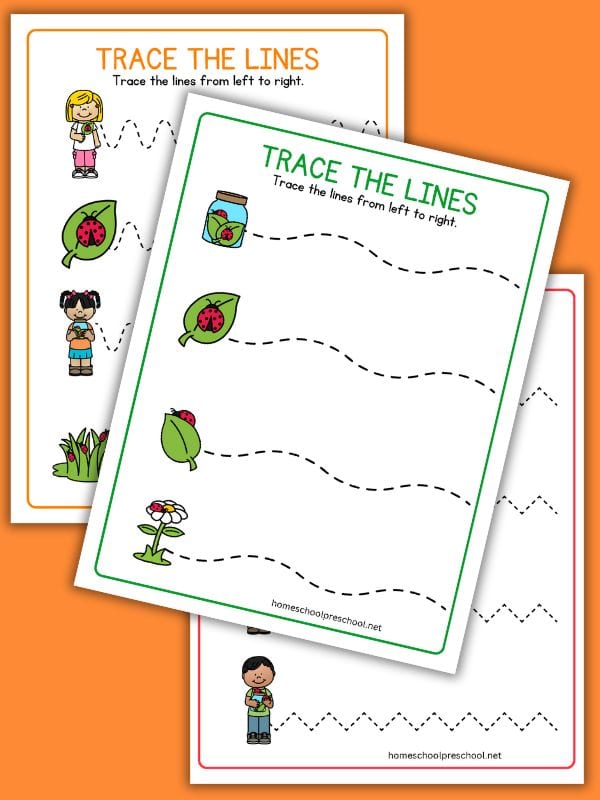 Ladybug Tracing Lines Worksheets