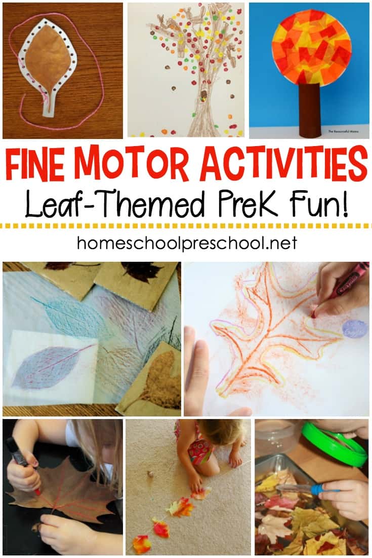 Autumn is just around the corner. Help preschoolers build motor skills with these leaf-themed fine motor activities that are perfect for fall!