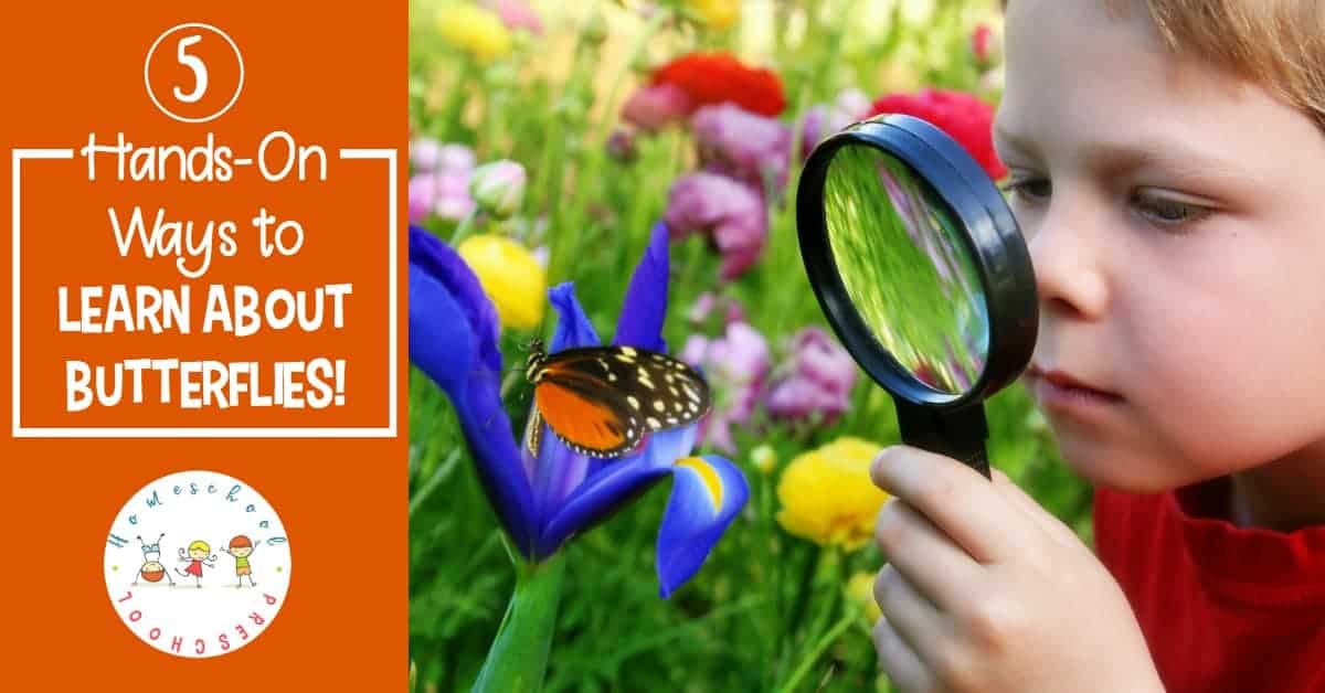 Spring is the best time of year to learn about butterflies. If you're lucky, you'll be able to watch the entire life cycle. Come discover how you can celebrate Learn About Butterflies Day!