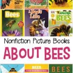 Preschoolers are sponges ready to soak up new things all the time. So, teach them about bees with these nonfiction picture books about bees.