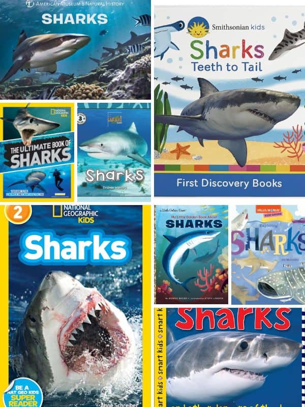 Nonfiction Books About Sharks