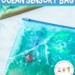 Make an ocean sensory bag for your toddlers and preschoolers to explore. It's a great activity for summer fun before or after a tip to the beach!