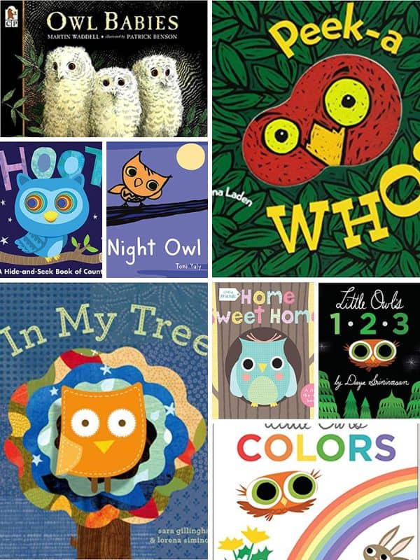 Owl Board Books for Toddlers