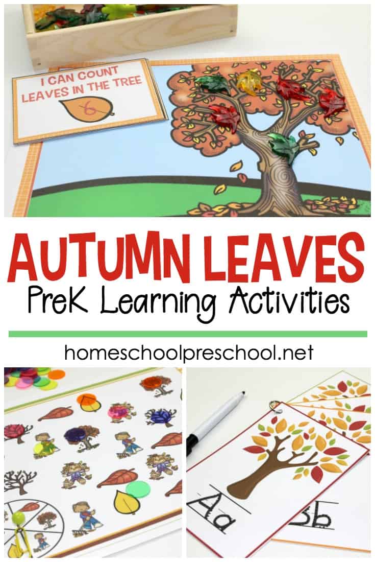 Your children will love these engaging preschool leaf theme math and literacy activities. Over 12 hands-on activities to choose from!