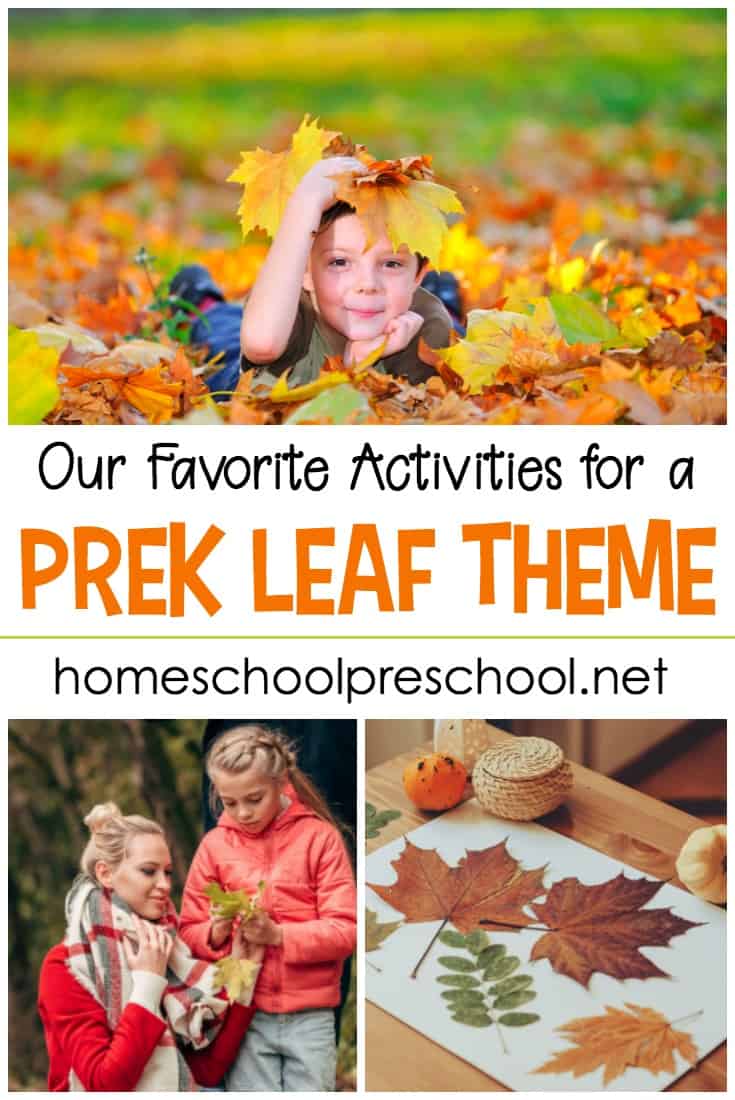 Preschool Leaf Theme Activities and Resources