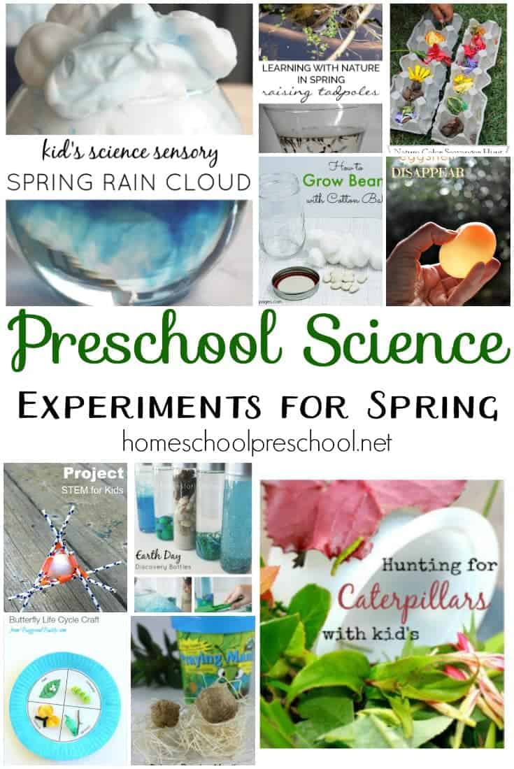 Take advantage of all the new that spring has to offer, and try as many of these preschool science experiments as you can! | homeschoolpreschool.net