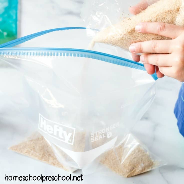 Make an ocean sensory bag for your toddlers and preschoolers to explore. It's a great activity for summer fun before or after a tip to the beach!