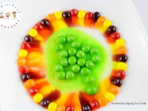 I love being able to incorporate the holidays into our homeschool lessons. This easy candy science project is perfect for St. Patrick’s Day!