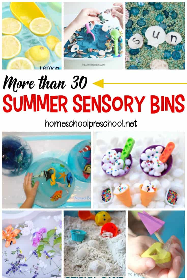 Encourage sensory exploration this summer by creating these awesome summer sensory bins! Themes include oceans, gardens, and so much more!