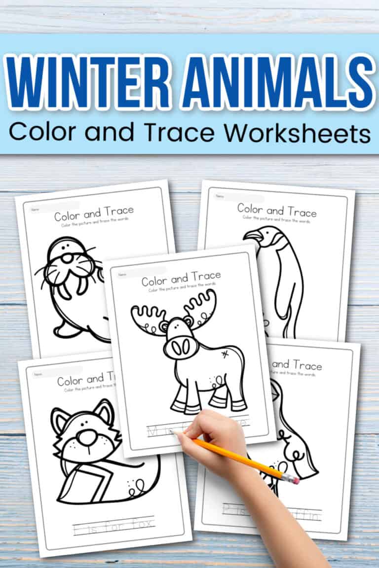 Winter Animals Worksheets