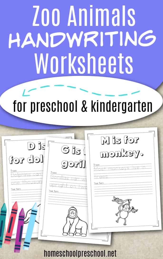 Zoo Animals Worksheets for Kindergarten