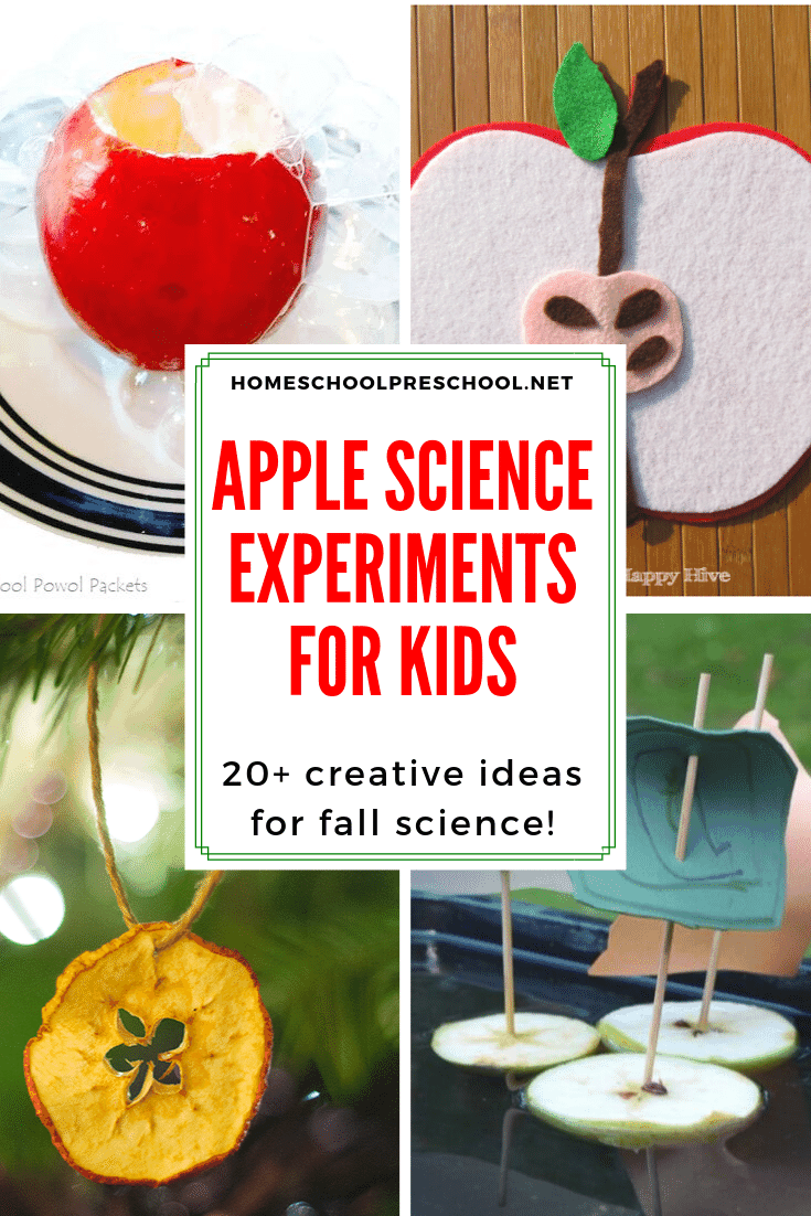 It's time to gear up for back to school. Add one or more of these apple science activities for preschoolers to your autumn lessons. The kids will love it!