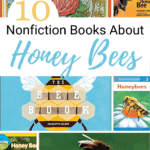 collage of nonfiction bee books for kids