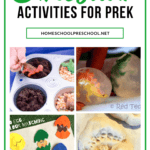 If you have a preschooler that is interested in dinosaurs, why not take that interest and turn it into a dinosaur preschool theme in your homeschool!