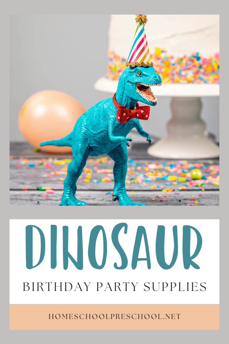 Dinosaur Birthday Party Supplies