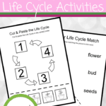 Add these preschool flower life cycle activities to your upcoming spring and summer activities. Find four printable activity pages for preschoolers.