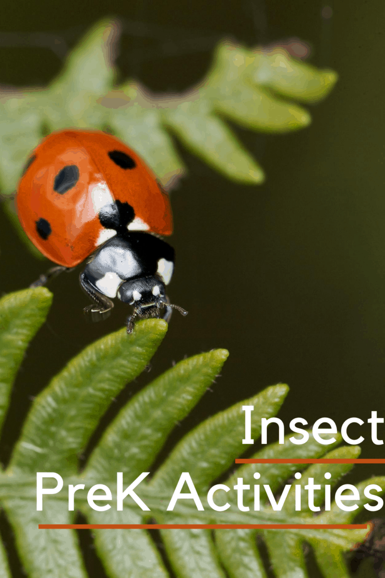 Insect Activities for Preschoolers