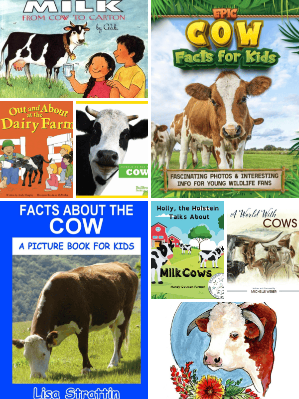 Nonfiction Books About Cows