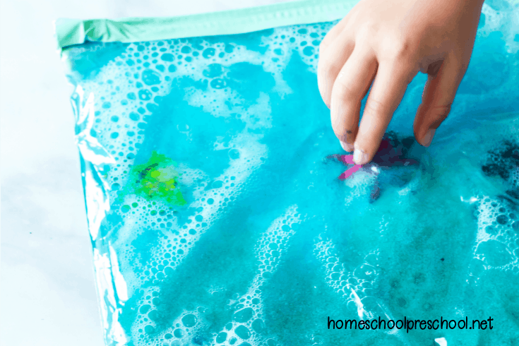 Make an ocean sensory bag for your toddlers and preschoolers to explore. It's a great activity for summer fun before or after a tip to the beach!