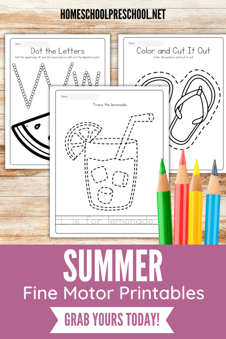 Summer Fine Motor Activities